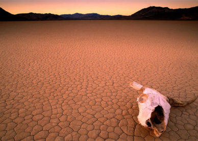 صور صحراء قاحلة وجافة Drought Desert Pictures-عالم الصور